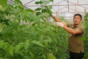 त्यो ५५ रूपैया जसले धरानका कृष्णलाई करोडपति बनायो , भन्छन्–कृषिमा पैसै पैसा छ