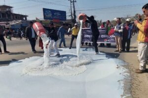 दूध किसानको बक्यौता भुक्तान गर्न तत्काल ३० करोड निकासा गर्दै अर्थ मन्त्रालय
