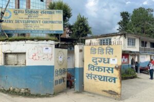 किसानलाई दूधको पैसा भुक्तानी गर्न नसकेको दुग्ध विकास संस्थान पाँच करोड नाफामा