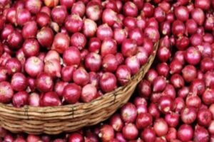 भारतले प्याज निर्यातमा लगायो अनिश्चितकालीन प्रतिबन्ध