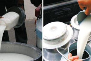 दूध उत्पादकको बक्यौता तिर्न अर्थ मन्त्रालयले डीडीसीलाई दियो ३० करोड