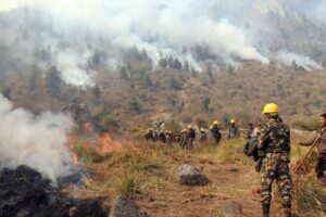 वनमा लागेको डढेलो गाउँ पस्दा खाेटाङमा ३ घर जले, २० लाख भन्दा धेरैको क्षति