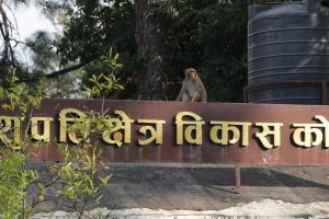 पशुपति क्षेत्र विकास कोष र काठमाडौं महानगरबीच धर्मशाला सञ्चालन सम्झौता खारेज