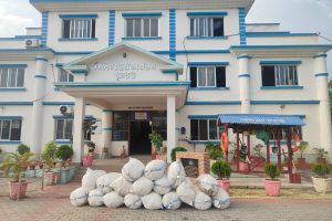 बिपतमा गाजाँ तस्करी, ५ सय ३७ केजी गाँजा सहित एक जना पक्राउ