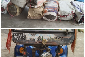 हरिनगरमा २१७ केजी गाँजासहित सिटी सफारी फेला, चालक फरार