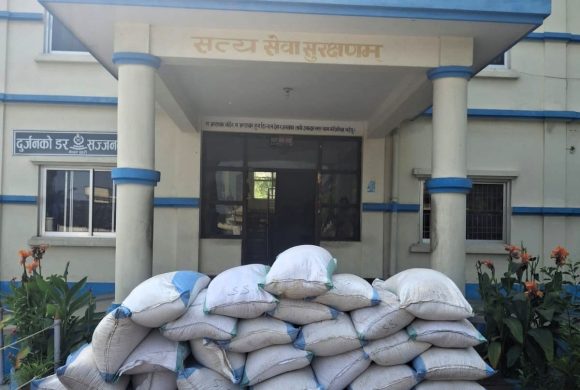 १५ लाखको अवैध तरबुजाको बीउ नियन्त्रणमा